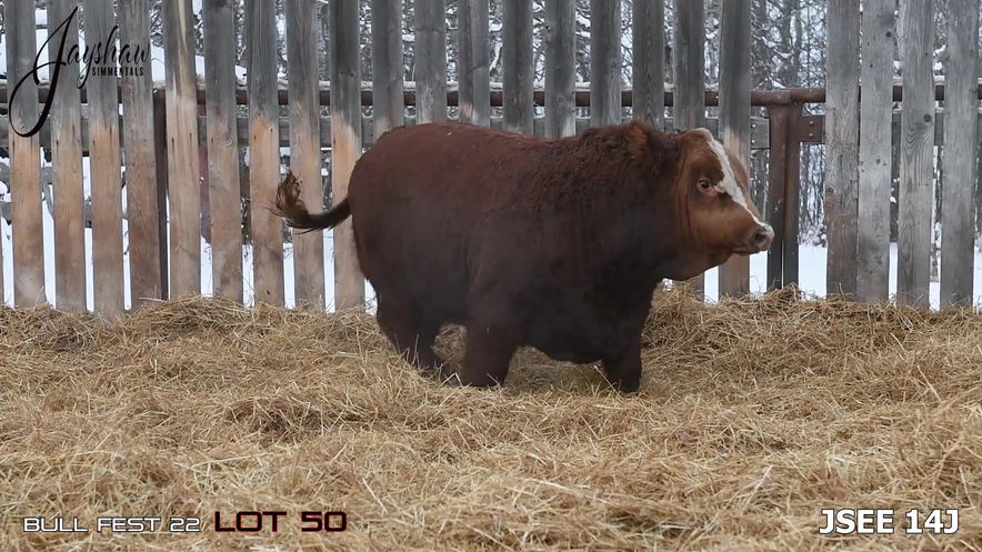 Lot 50: JSEE 14J